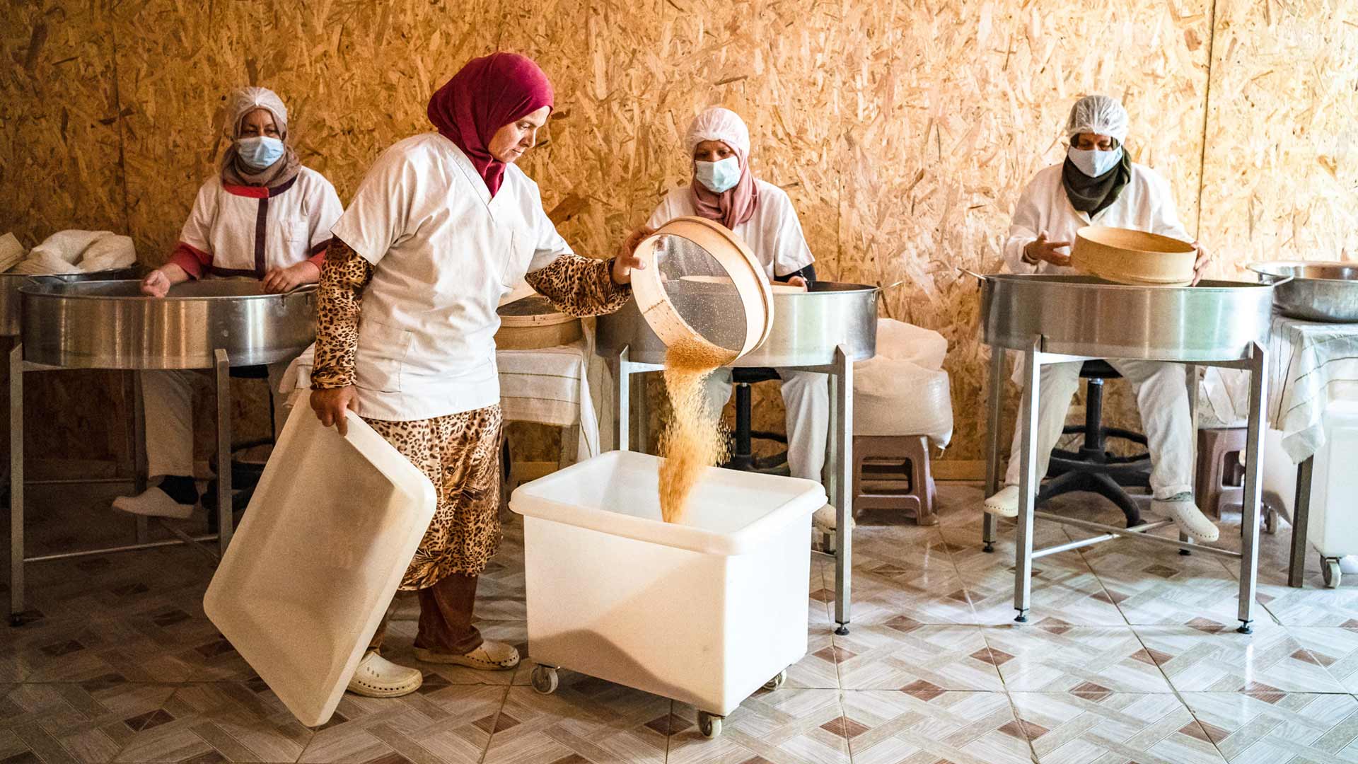 Tunisia’s Ancestral Seeds: An Important Resource for the Future