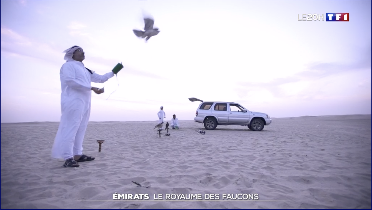 LCI: Émirats arabes unis: au royaume des faucons